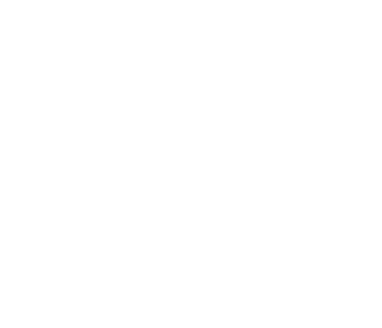 women's sports foundation logo