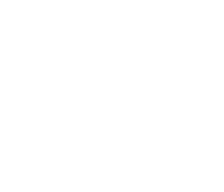 athlete ally logo