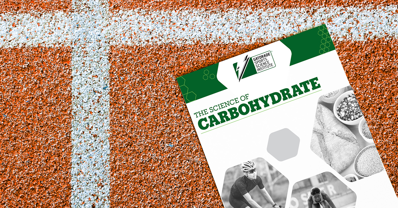 the cover of the science of carbohydrate report