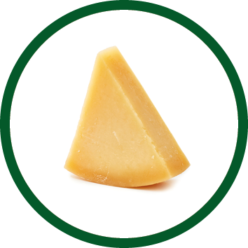 Piece of Parmesan cheese on white background