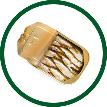 Can of sardines isolated on white background