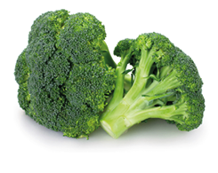 fresh broccoli isolated on white background closeup