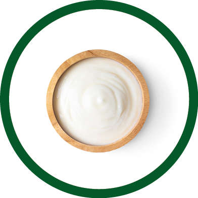 wood bowl of yogurt isolated on white background from top view