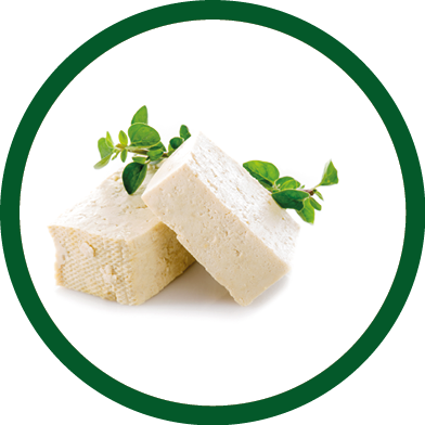 tofu cheese on white background