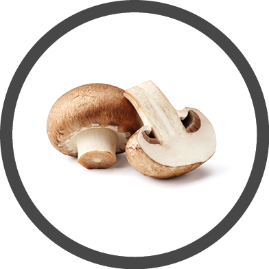 Two fresh mushrooms champignons, one whole and the other cut in half isolated on white background with clipping path.