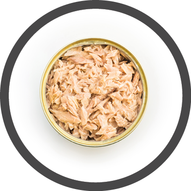 Canned tuna isolated, open tuna tin on a white background, Canned soy, Tuna packed in water