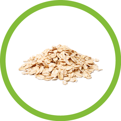 Oat flakes on white background