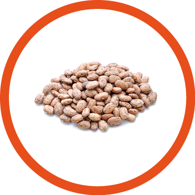 Pinto beans isolated on white background