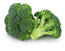 fresh broccoli isolated on white background closeup