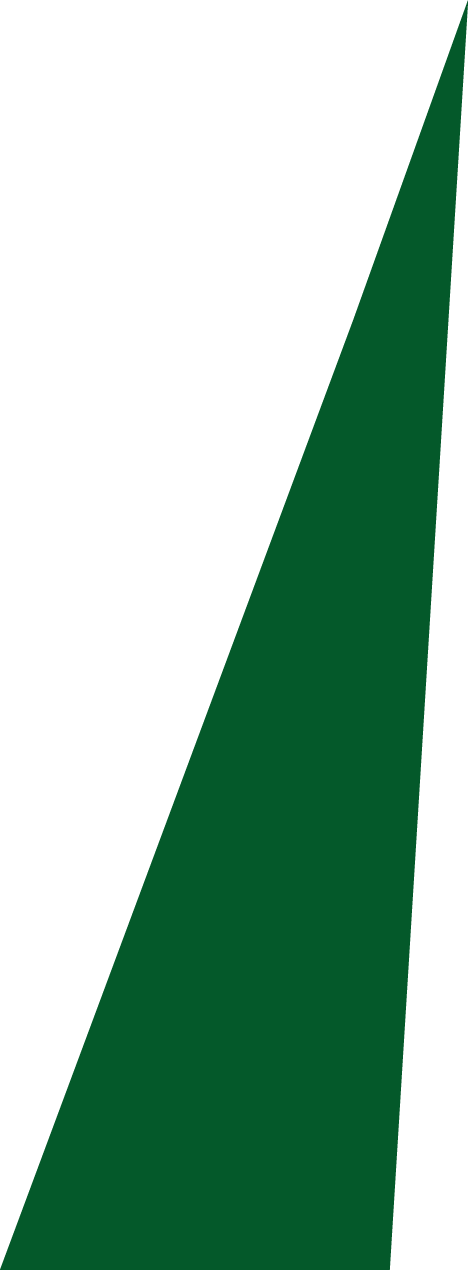 Backgropund green slide