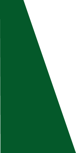 Backgropund green slide