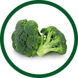 fresh broccoli isolated on white background closeup
