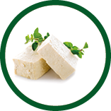 tofu cheese on white background