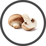 Two fresh mushrooms champignons, one whole and the other cut in half isolated on white background with clipping path.