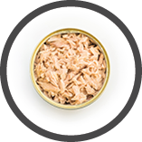 Canned tuna isolated, open tuna tin on a white background, Canned soy, Tuna packed in water
