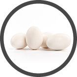 Fresh goose eggs isolated on white background