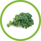 Fresh kale on white background