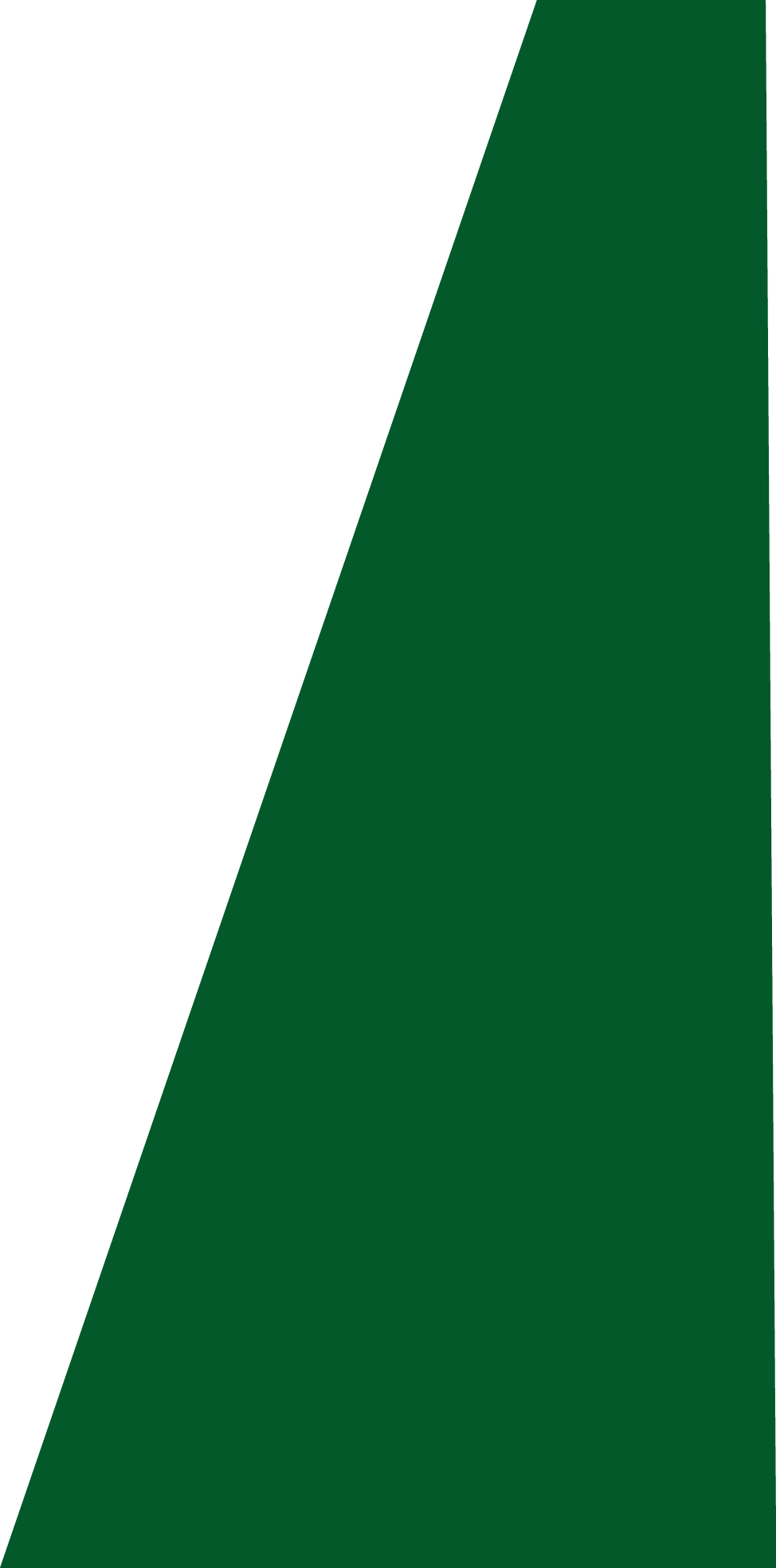 Backgropund green slide