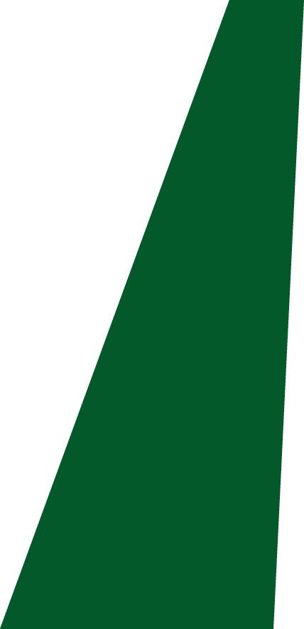 Backgropund green slide