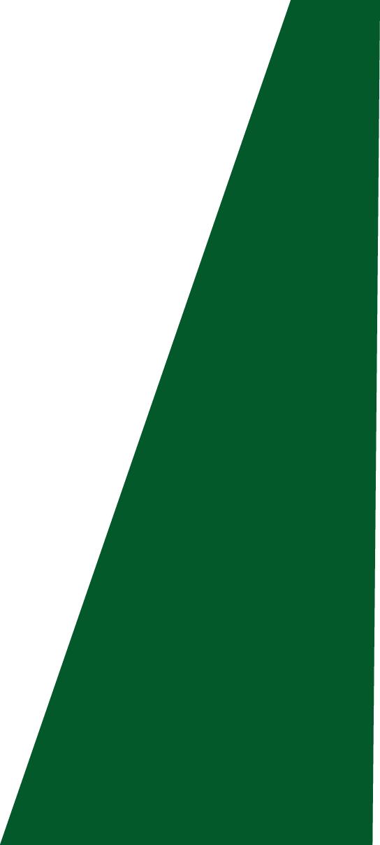 Backgropund green slide