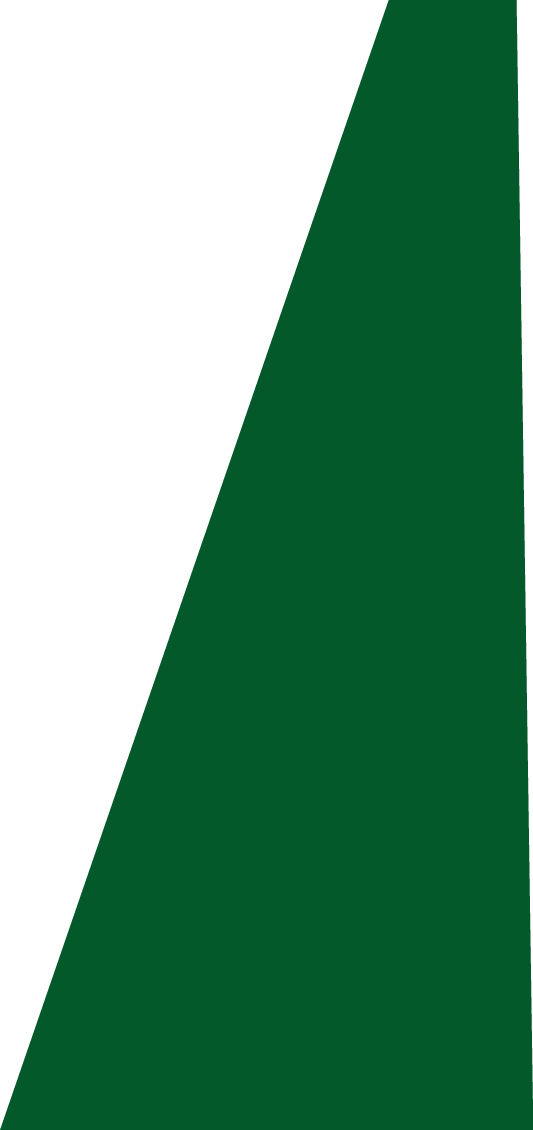 Backgropund green slide