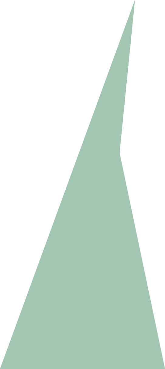 Backgropund green slide