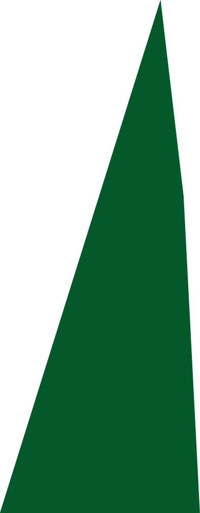 Backgropund green slide