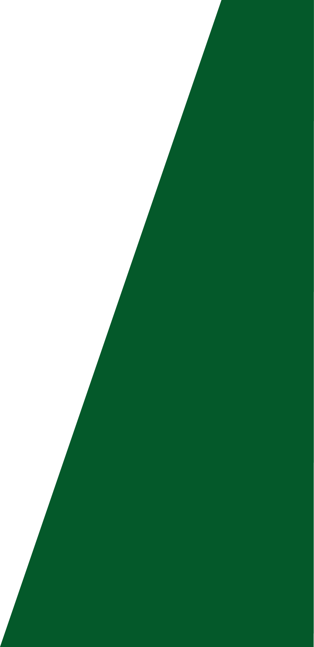 Backgropund green slide