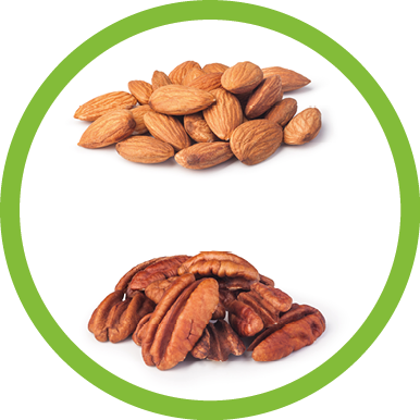 Nuts collection isolated on a white background