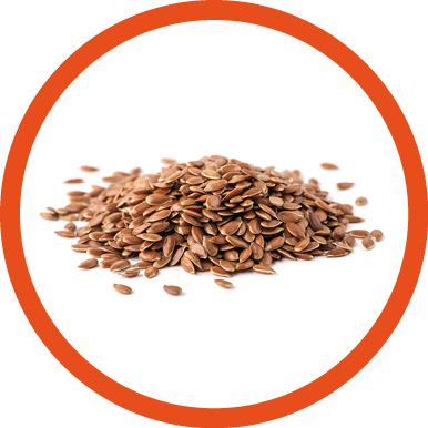 Flax seed on white background.