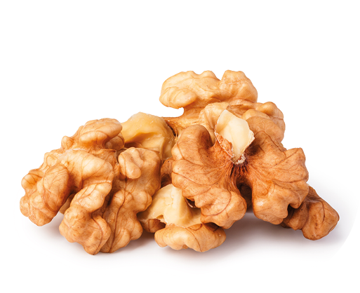 Nuts collection isolated on a white background