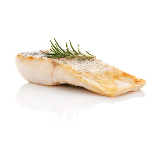 Luxurious seafood dinner. Perch fish fillet isolated on white background with fresh green herbs. Healthy eating.