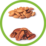 Nuts collection isolated on a white background