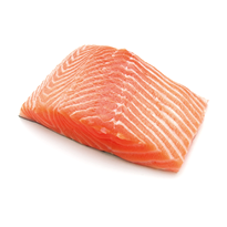 fresh salmon steak on white background
