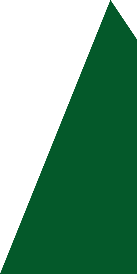 Backgropund green slide