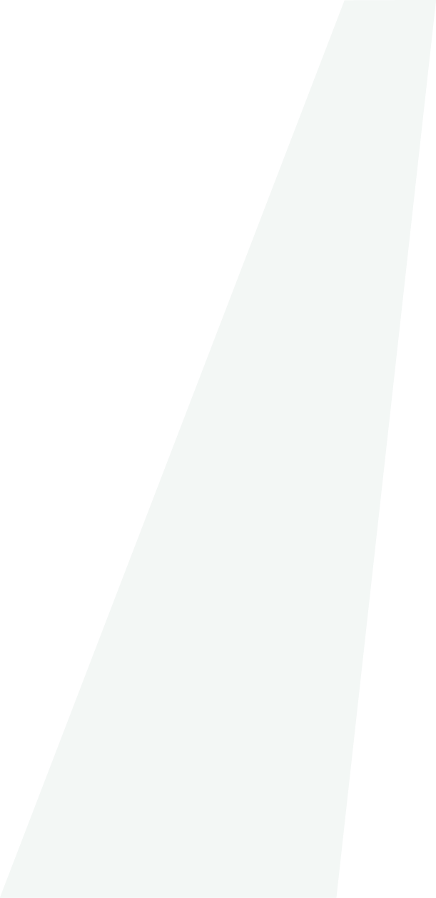 Backgropund green slide