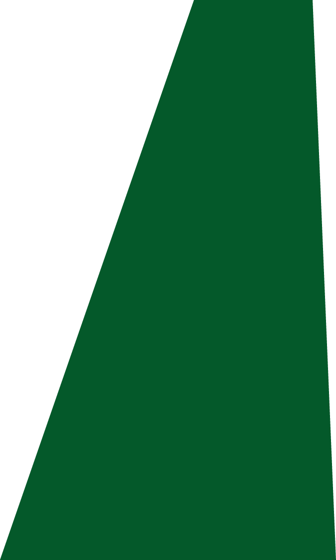 Backgropund green slide