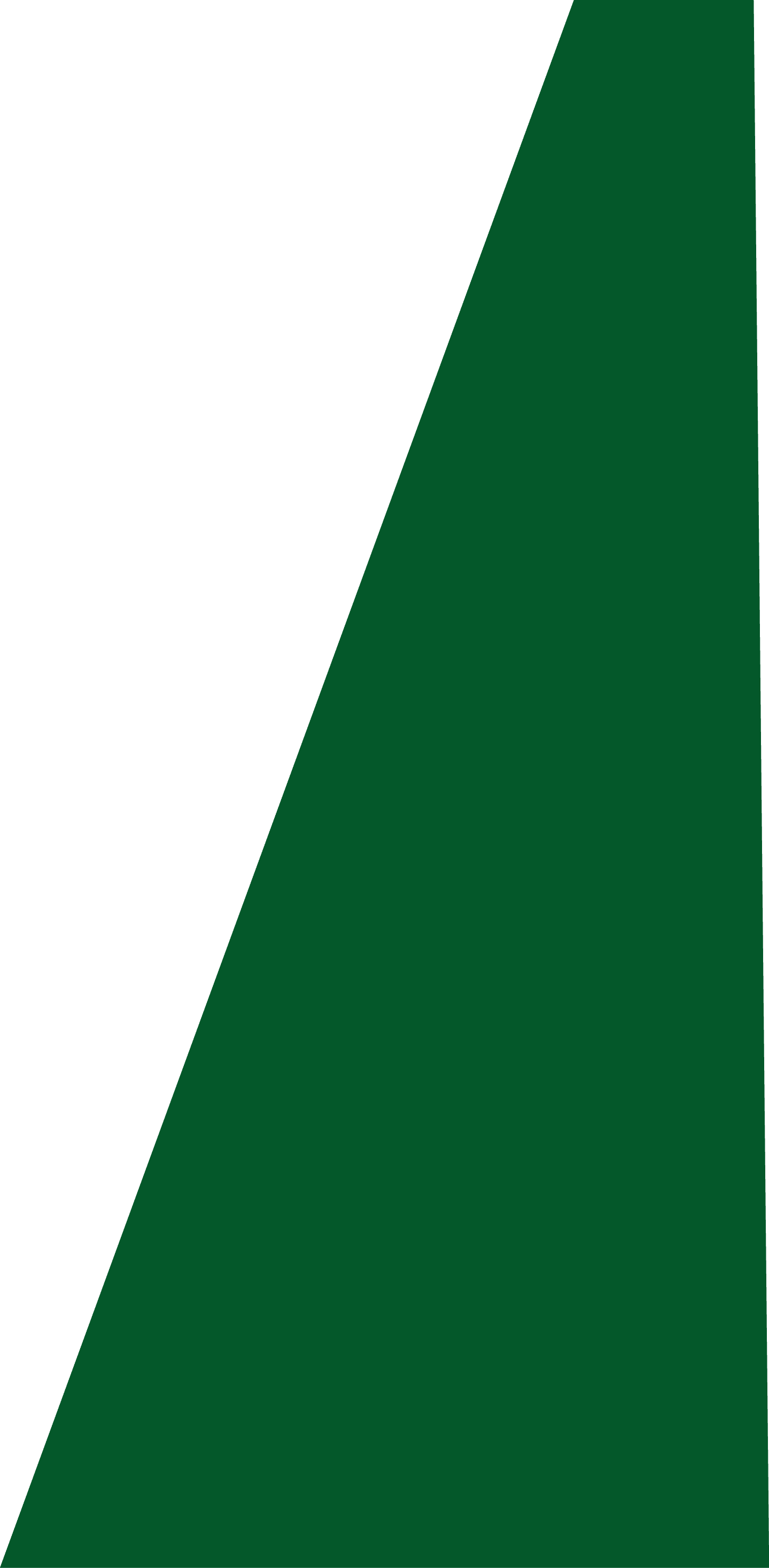 Backgropund green slide