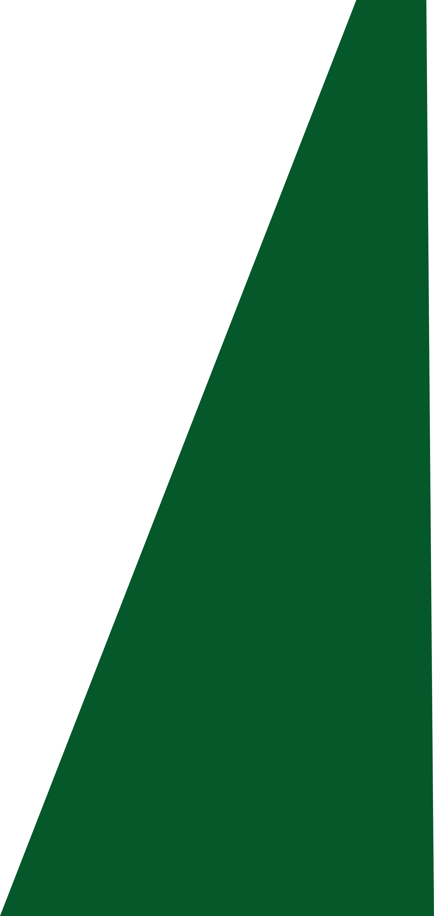 Backgropund green slide