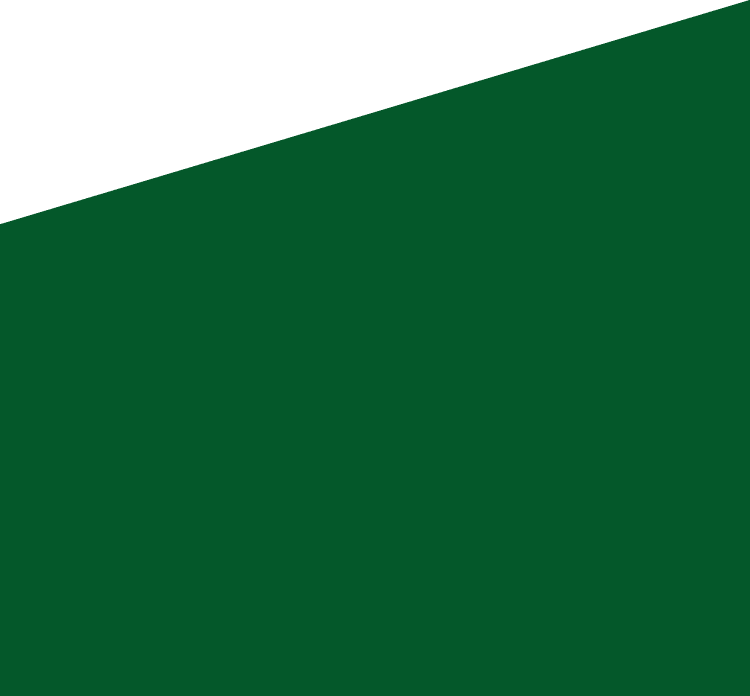 Backgropund green slide