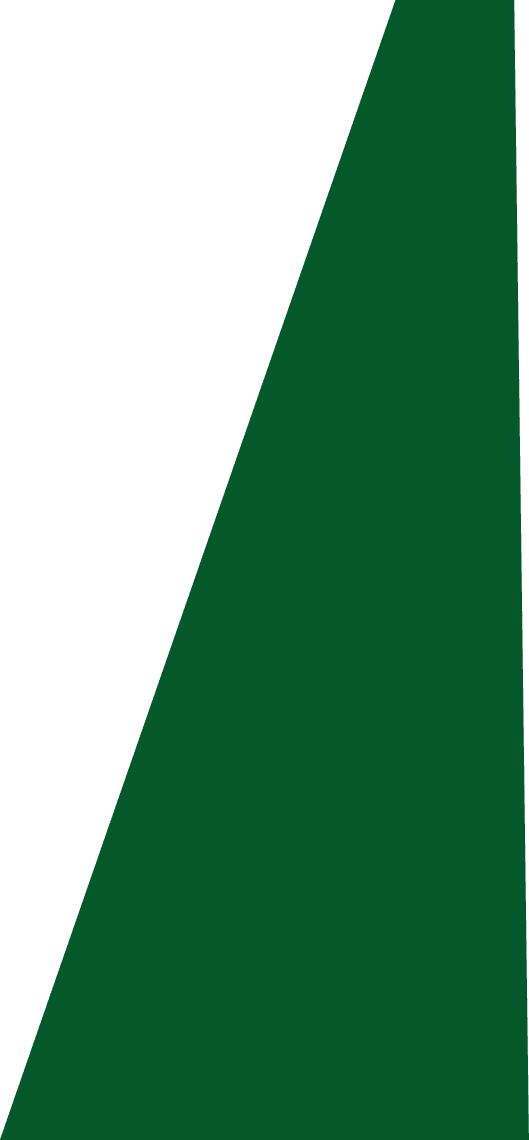 Backgropund green slide