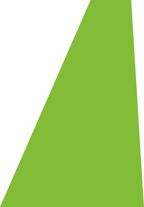 Backgropund green slide