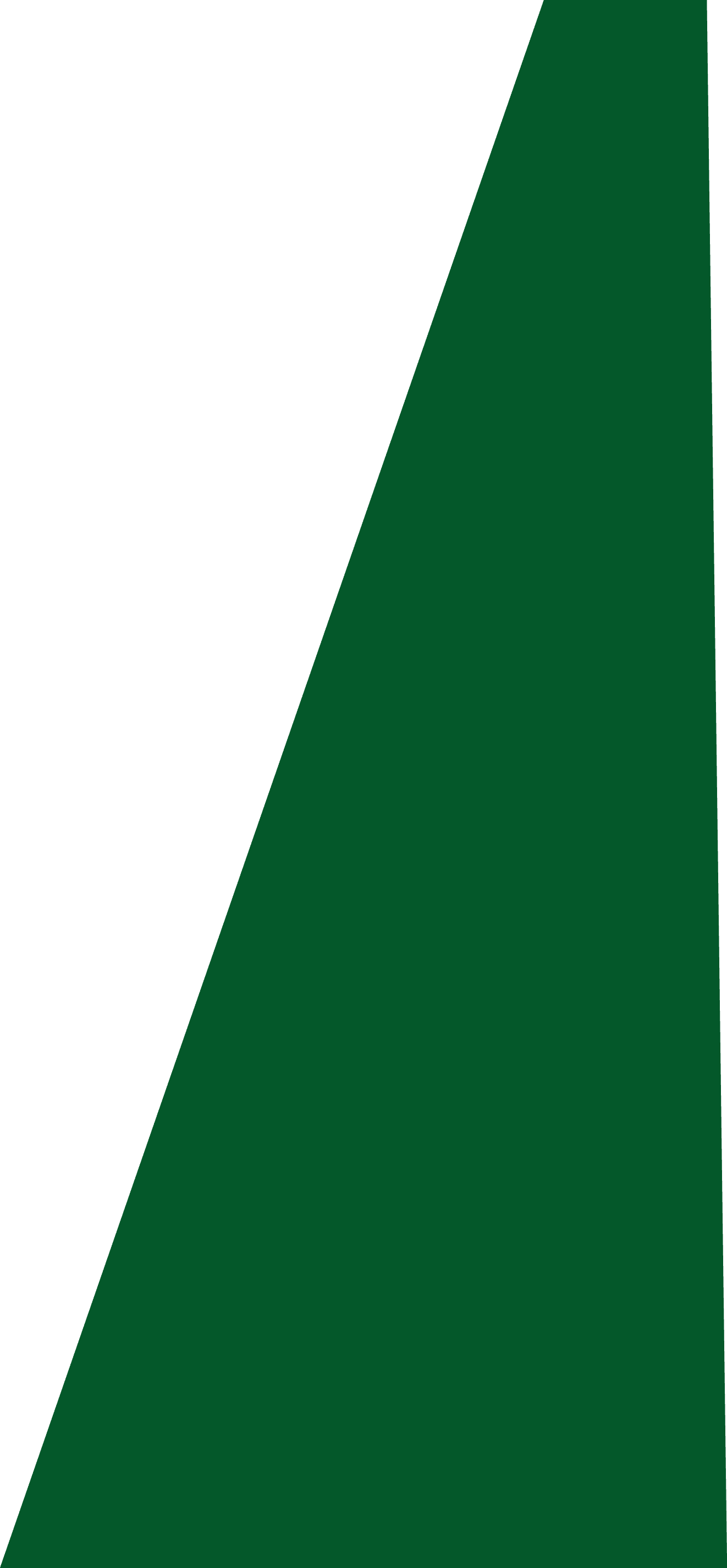 Backgropund green slide