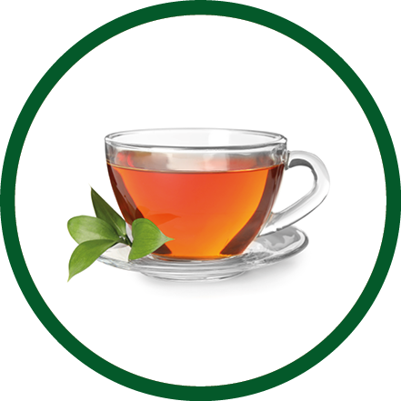 Glass cup of hot aromatic tea on white background