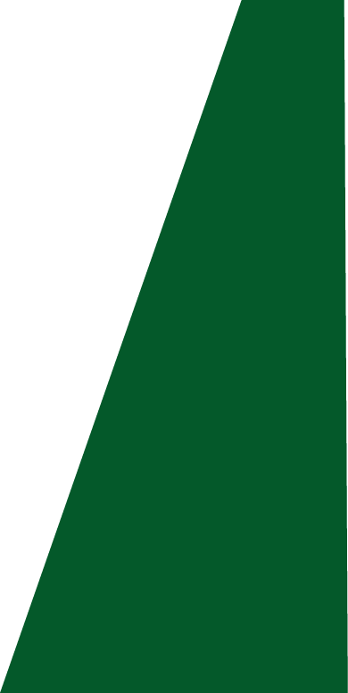 Backgropund green slide