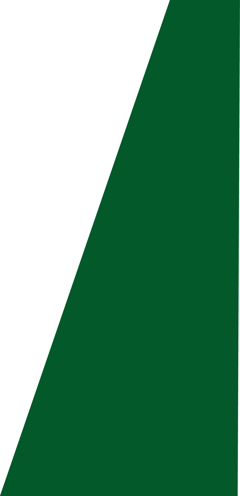 Backgropund green slide