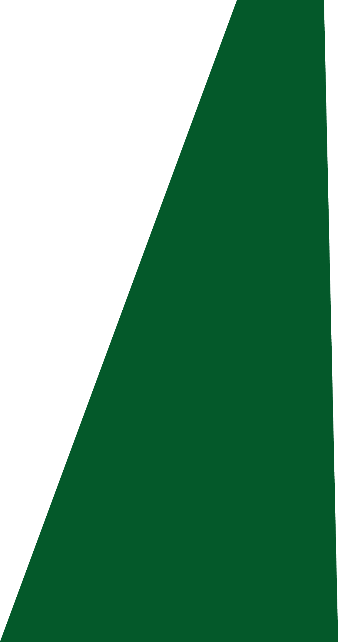 Backgropund green slide