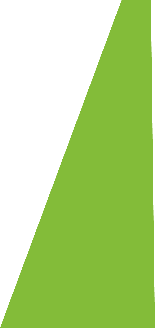 Backgropund green slide