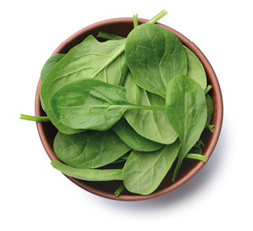 Bowl with fresh spinach on white background