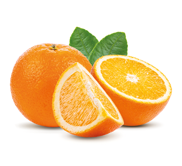 orange fruit isolated on white background. Full depth of field